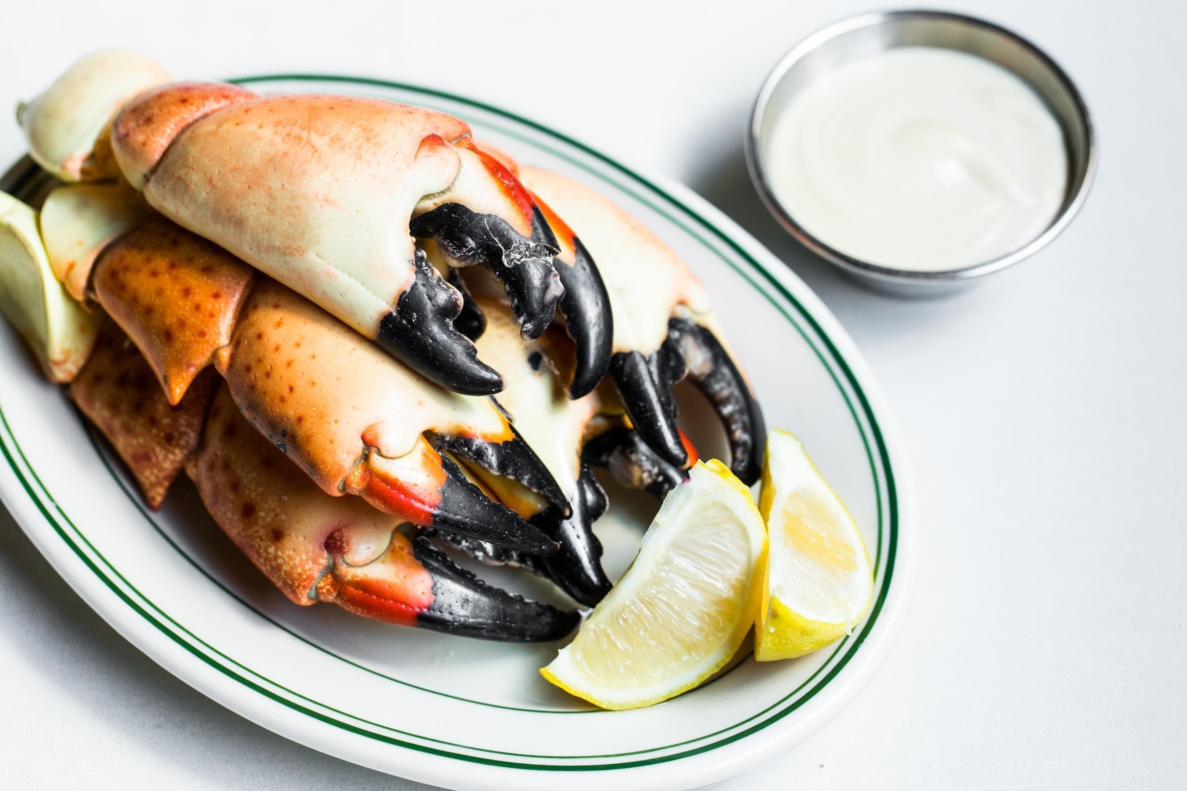 image of Florida Stone Crab